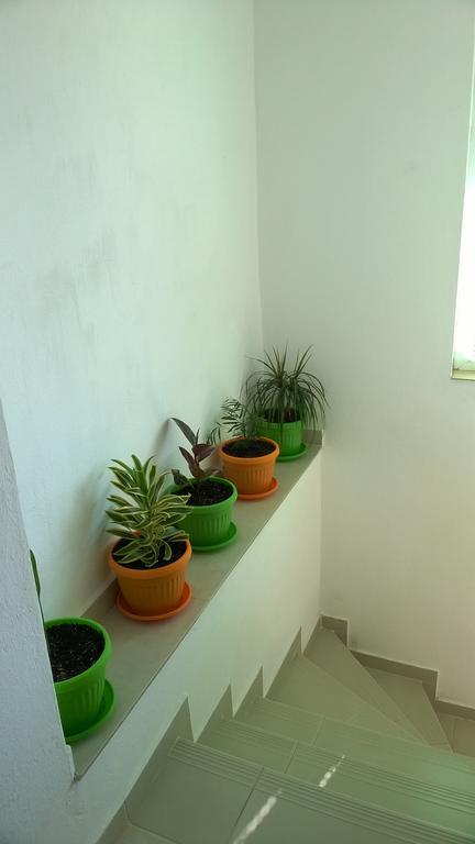 Summer Sz Guest House Süzebolu Dış mekan fotoğraf